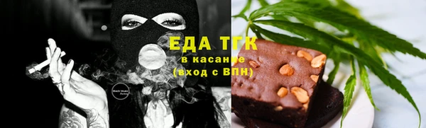 индика Билибино