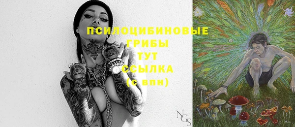 хмурый Богородск