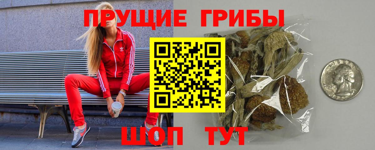Зима  Псилоцибиновые грибы ЛСД  Вход с VPN 