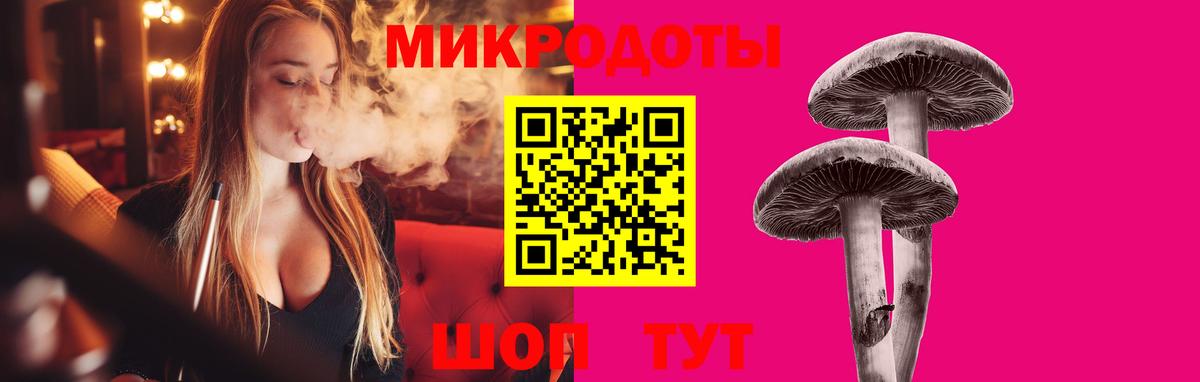 Псилоцибиновые грибы MAGIC MUSHROOMS Зима